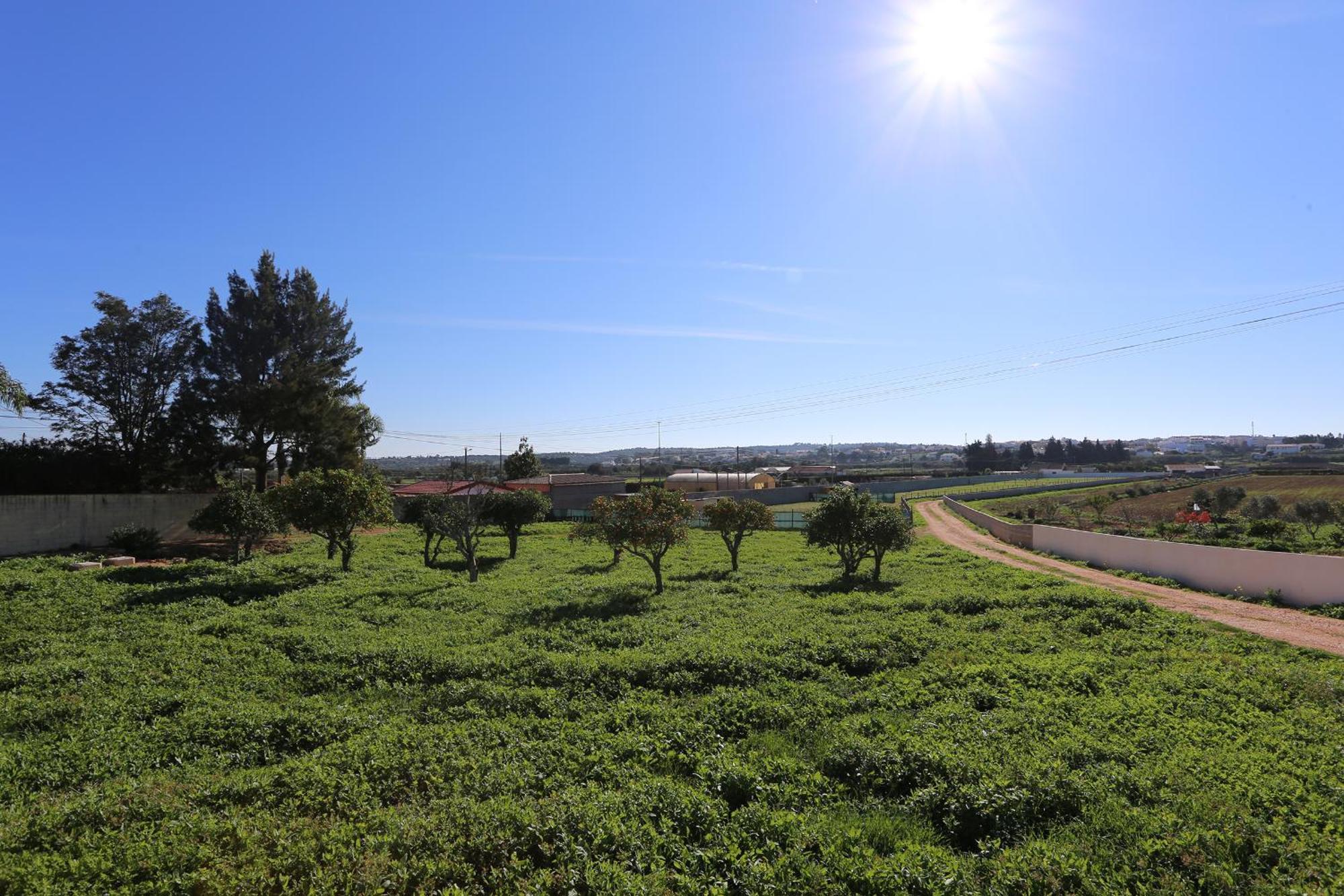 Quinta Da Ponte Διαμέρισμα Odiáxere Εξωτερικό φωτογραφία